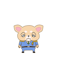 
                    チワワしょちょう
                  