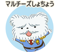 マルチーズしょちょう