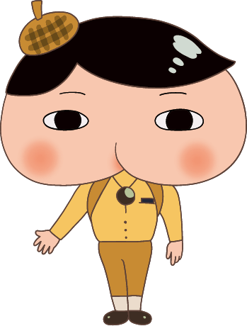 せいかい